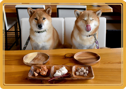 dogmenu