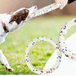 Ring for the Destroyer