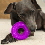 Dental Chew Ring